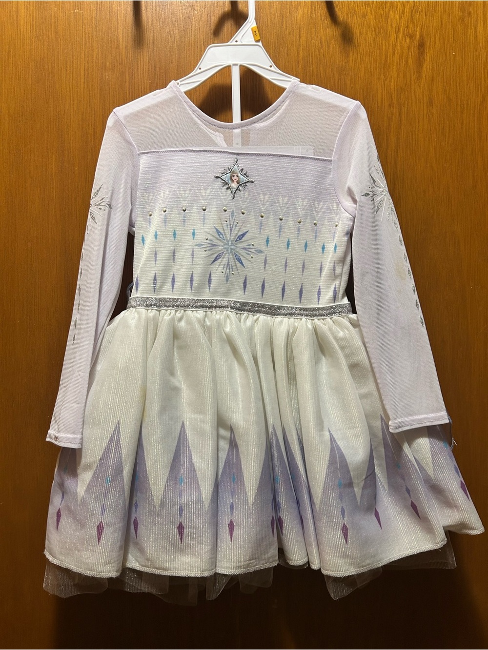 Disney Frozen II Elsa Costume